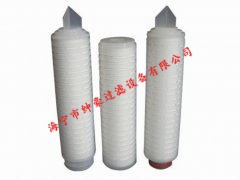 聚四氟濾芯（PTFE）